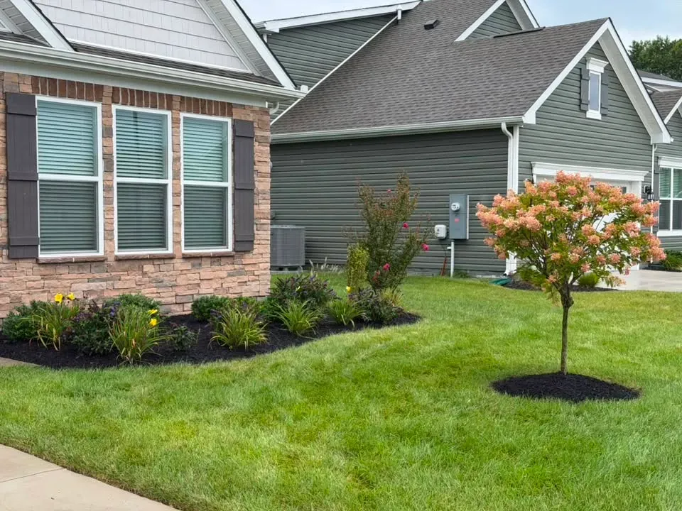 Front garden bed with shrubs, daylilies, and a newly planted ornamental tree
