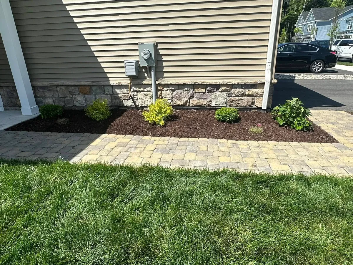 Paver walkway beside a new mulched bed of small shrubs along the side of a house