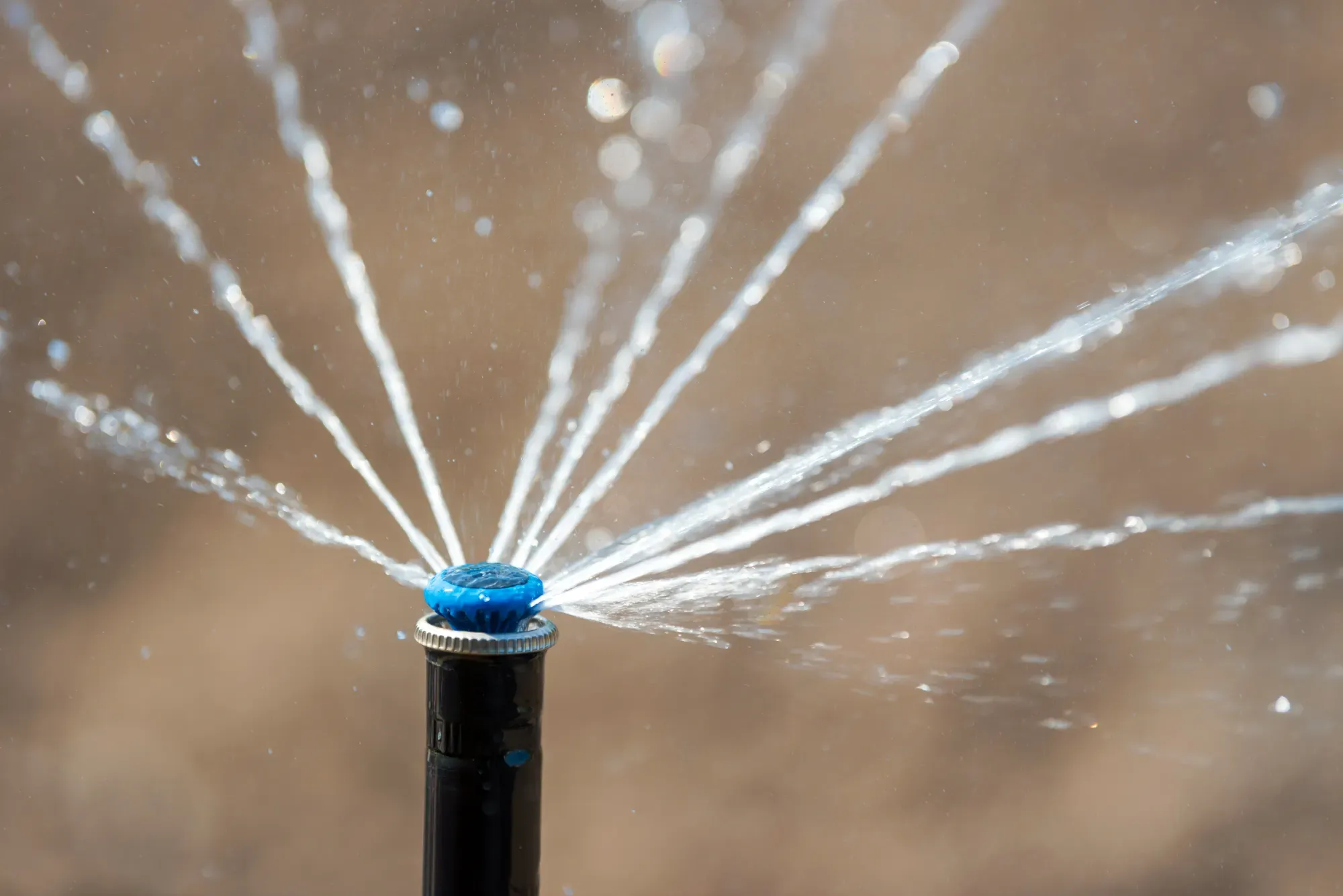Close-up of a pop-up sprinkler head spraying streams of water