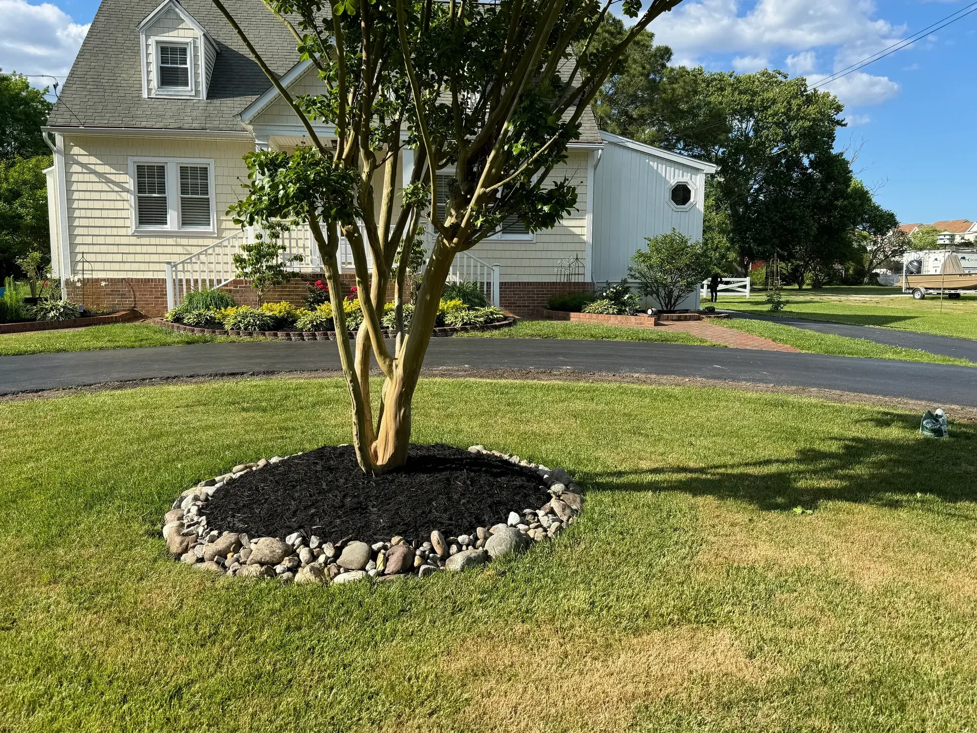 Crape myrtle in a mulched tree ring bordered with river rock in a front lawn